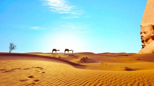 埃及, 撒哈拉沙漠, 沙漠, 干, 骆驼, 寺, 去发现