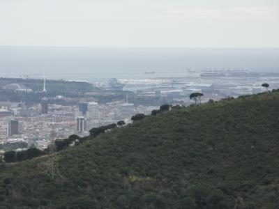 巴塞罗那, 从, 地平线, 请参见, 景观, 森林, 公园