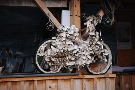 自行车, 覆盖, 贝壳, 牡蛎