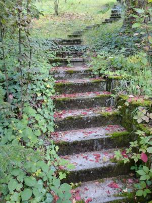 逐渐, 楼梯, 石头, 花园, 植物, 叶子, 秋天