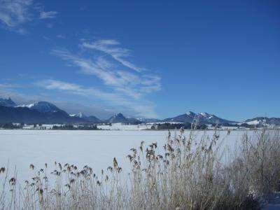 湖, 冬天, 冰, 芦苇, 山全景, 冻结, 天空
