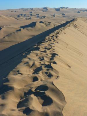 沙漠, 沙丘, 沙丘脊, 干, 沙子, 太阳, 热