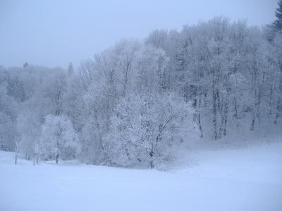 冬天, 雪, 白色