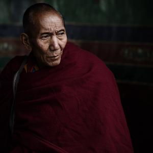 喇嘛, 西藏, 沧桑, 老和尚, 中国, 只有一个人, 成熟的成年人