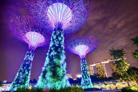 新加坡, 海湾花园, 长时间曝光, 滨海湾金沙, 树木, 建筑, 现代