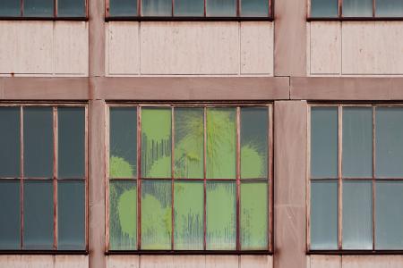窗口, 窗, 木制, 玻璃, 油漆, 裂纹, 绿色