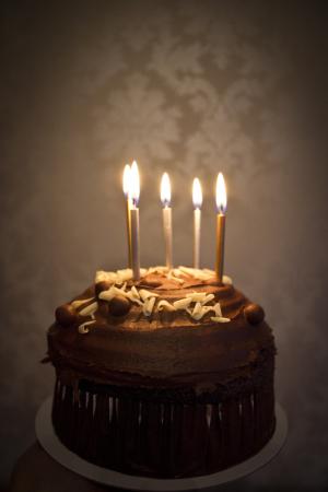 蛋糕, 蜡烛, 生日, 巧克力, 庆祝活动, 快乐, 烤