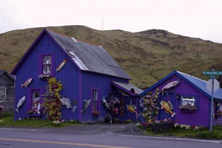 荷兰港, 阿拉斯加, 山脉, 房子, 首页, 紫色, 村庄