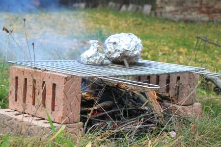 肉, 铝箔, 消防, 烧烤, 烧烤, 木材, 火山灰