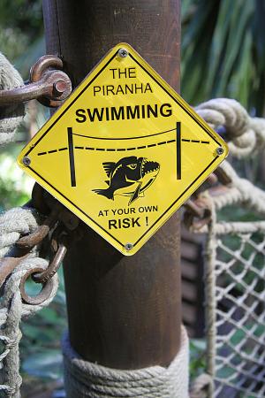 危险, 海报, piranna, 鱼, 牙齿, 捕食者, 动物
