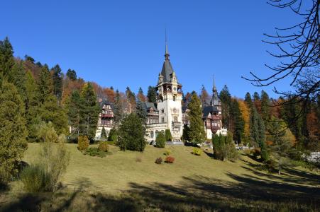 城堡, 罗马尼亚, 蓝色, 森林, 景观, 树木, 普拉托