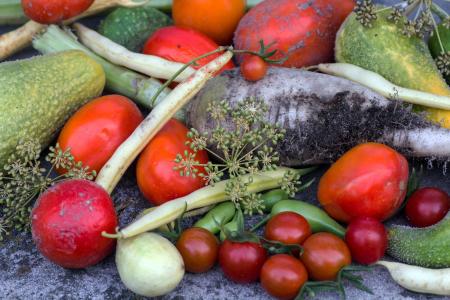 蔬菜, 黄瓜, 西红柿, 花园豆, 蔬菜, 番茄, 食品