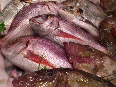 鱼, 鱼市场, 食品