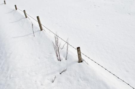 雪, 降雪量, 白色, 感冒, 四季, 12 月, 1 月