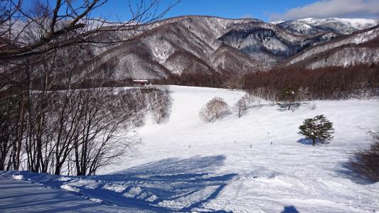 滑雪, 雪板, 雪, 山, 冬天, 自然, 树