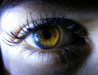 眼睛, 棕色, 黄色, 光, 虹膜, 着色