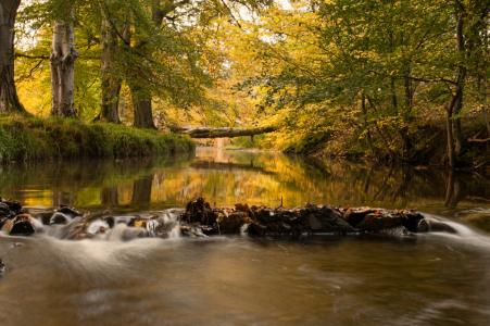 河, 卡特勒水, 水, 秋天, 树桥, 桥梁, 穿越