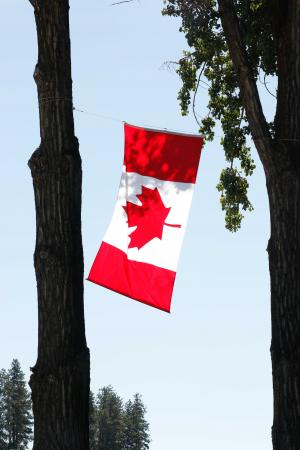 加拿大国庆日, 加拿大, 加拿大, 庆祝活动, 假日, 7 月, 叶