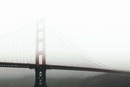 建筑, 桥梁, 雾, 有雾, 悬索桥
