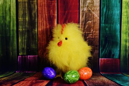 鸡, 小鸡, 复活节, 鸡蛋, 复活节彩蛋, 彩蛋, 羽毛