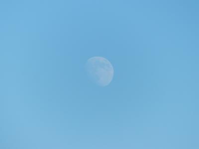 月亮, 天空, 在白天, 蓝色星球, 苍白