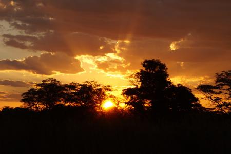 日落, 余辉, 景观, 非洲, 博茨瓦纳, 奥卡万戈