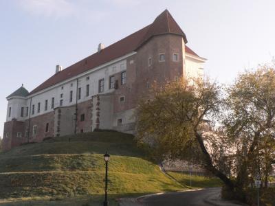 桑多梅日, 城堡, 波兰
