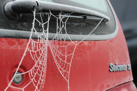 蜘蛛网, 弗罗斯特, 白霜, 感冒, 网络, 红色, 汽车
