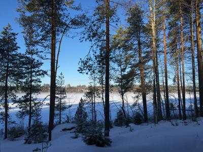 冬天, 雪, 雪景, 冬季景观, 嗖嗖声, 芬兰, 感冒