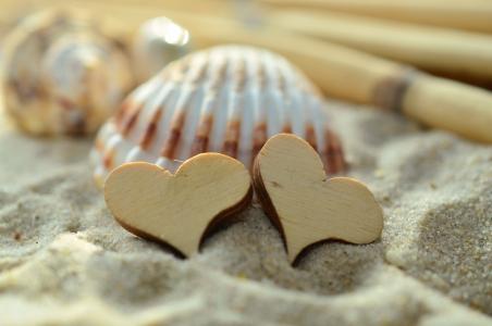 沙子, 心, 木材, 贻贝, 海滩, 符号, 爱
