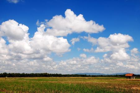 字段, 云计算, 景观, 天空, 农业, 云的天空, 自然