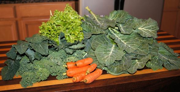 蔬菜, 绿党, 花园, 甘蓝, 羽衣甘蓝, 胡萝卜, 健康