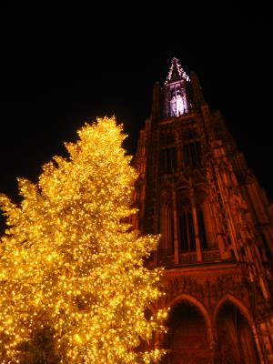 乌尔姆大教堂, 乌尔姆, 圣诞节, 灯, 照明, 晚上, 照明