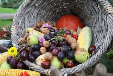 水果, 秋天, 葡萄, 食品, 购物篮, 自然, 新鲜