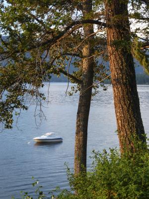 canim, 湖, 不列颠哥伦比亚省, 加拿大, 风光, 景观, 阳光明媚
