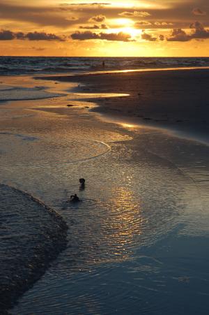 日落, 午睡钥匙, 佛罗里达州, 海滩