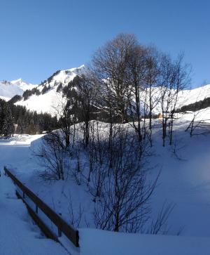 冬天, 雪, 树木, 感冒, 弗罗斯特, 山脉, walsertal