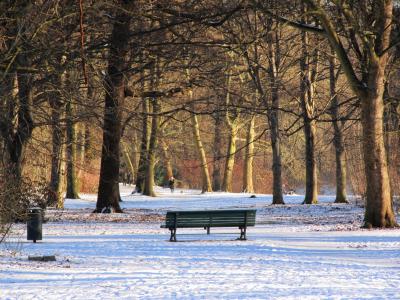 公园, 冬天, 蒂尔加滕, 柏林, 银行, 公园的长椅上, 雪