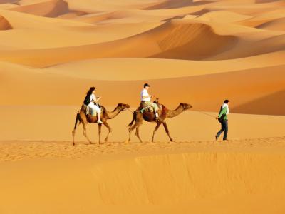 摩洛哥, 沙漠, 沙丘