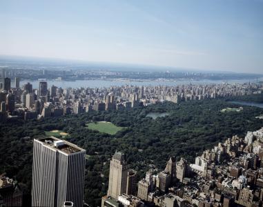 纽约城, 中央公园, 天际线, 摩天大楼, 城市, 城市景观, 树