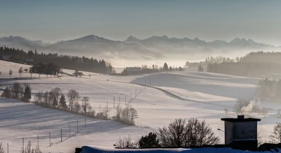 瑞士, 苏黎世, 冬天, 雾, 寒冷的温度, 树, 自然
