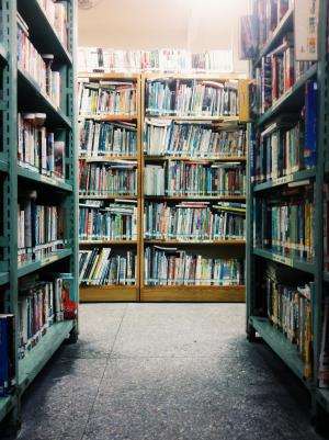 书库, 书架, 书籍, 书架, 书店, 教育, 知识