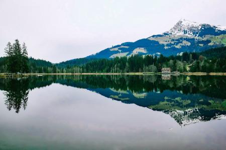 奥地利, 湖, 几点思考, 景观, 山脉, 雪, 森林