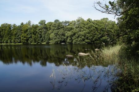 湖, 景观, 瑞典, 自然, 水, 银行, 树木