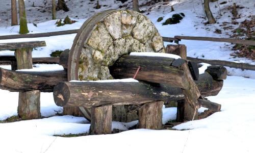 石头, 卡利什 pomorski, 公园, 树, 冬天, 雪