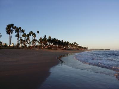 环境, 巴西, 海滩