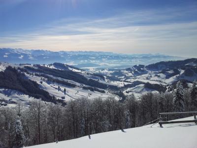 雪远足, 瑞士, 活跃的人, 冬天, 寒冷, 雪, 山