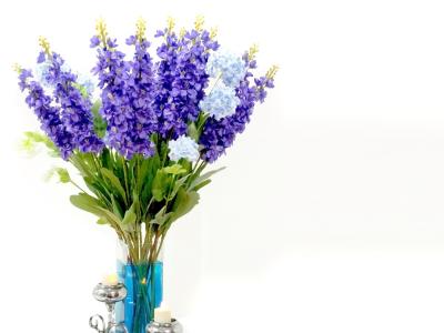 花, 植物区系, 紫色, 花束, 紫罗兰色, 绿色, 蓝色