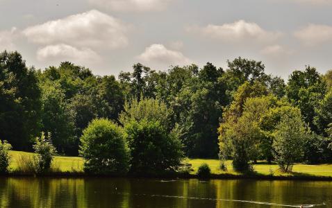 池塘, 水域, 景观, 树木, 夏季, 太阳, 蓝蓝的天空