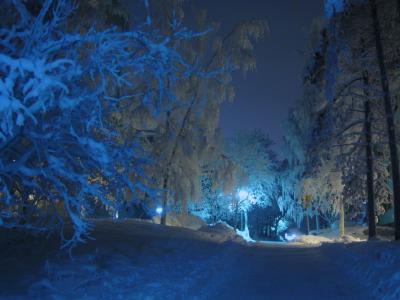 冬天, 晚上, 街上的路灯, 阴影, 蓝色阴影, 雪, 弗罗斯特